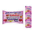 BCP Bajaj Anardana Goli - Resealable 3 Pack Combo - 100% natural Indian digestive by BCP Bajaj